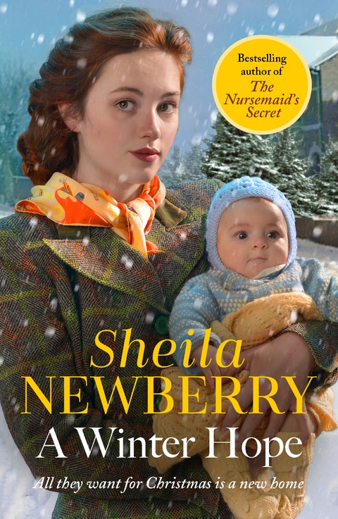 A Winter Hope - Sheila Everett, Sheila Newberry