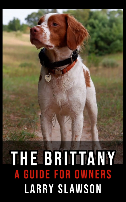 The Brittany - Larry Slawson