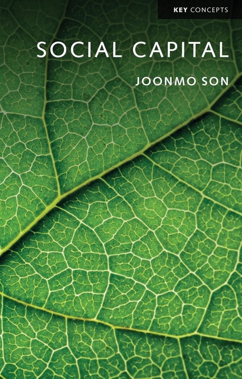 Social Capital - Joonmo Son