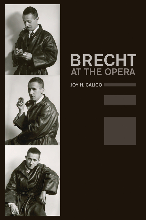 Brecht at the Opera - Joy H. Calico