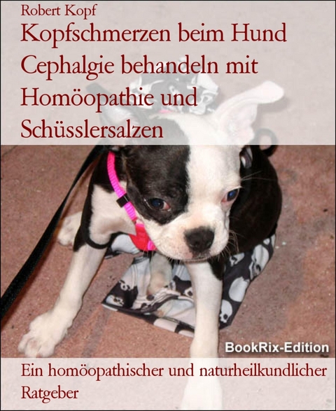 Kopfschmerzen beim Hund Cephalgie behandeln mit Homöopathie und Schüsslersalzen - Robert Kopf