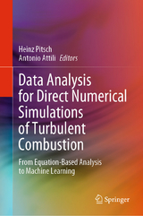 Data Analysis for Direct Numerical Simulations of Turbulent Combustion - 