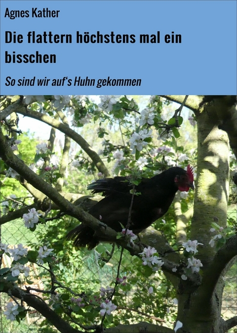 Die flattern höchstens mal ein bisschen - Agnes Kather