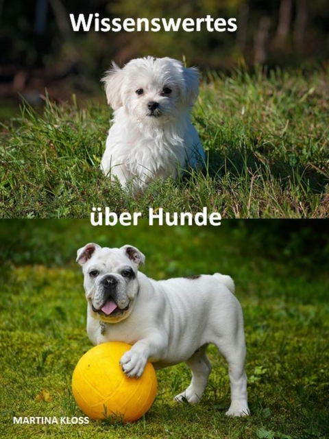 Wissenswertes über Hunde - Martina Kloss