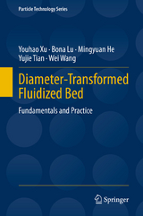 Diameter-Transformed Fluidized Bed - Youhao Xu, Bona Lu, Mingyuan He, Yujie Tian, Wei Wang