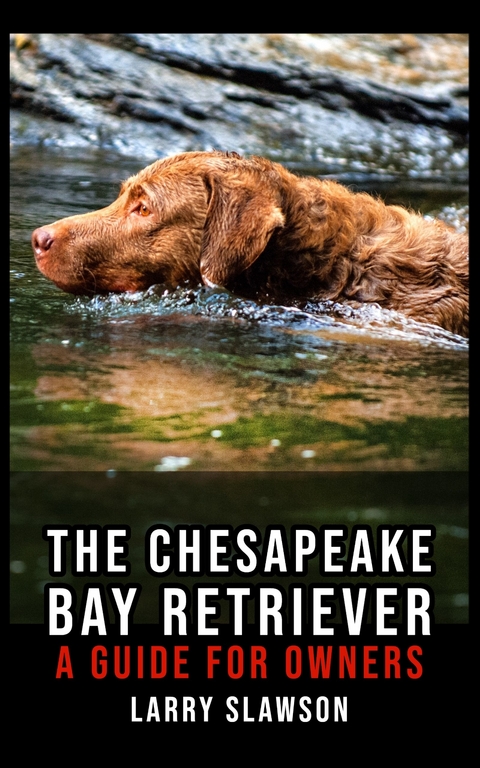 The Chesapeake Bay Retriever - Larry Slawson