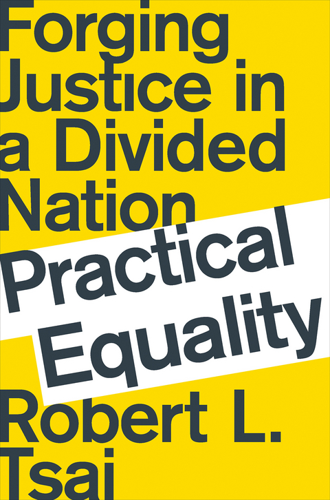 Practical Equality: Forging Justice in a Divided Nation - Robert L. Tsai