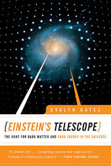 Einstein's Telescope: The Hunt for Dark Matter and Dark Energy in the Universe - Evalyn Gates