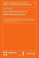 Investitionsschutz im Mehrebenensystem - Fabian Blandfort