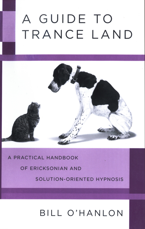 A Guide to Trance Land: A Practical Handbook of Ericksonian and Solution-Oriented Hypnosis - Bill O'Hanlon