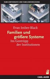 Familien und grössere Systeme - Evan Imber-Black