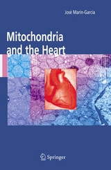 Mitochondria and the Heart - 