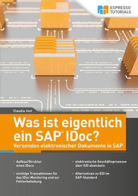 Was ist eigentlich ein SAP IDoc? Versenden elektronischer Dokumente in SAP - Claudia Jost