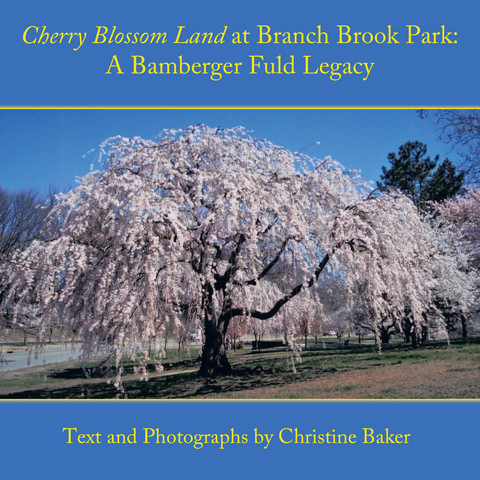 Cherry Blossom Land at Branch Brook Park -  Christine Baker