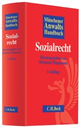 Münchener Anwaltshandbuch Sozialrecht - Plagemann, Hermann