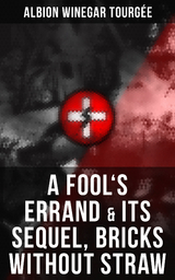 A FOOL'S ERRAND & Its Sequel, Bricks Without Straw - Albion Winegar Tourgée