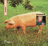 Das kreative Sachbuch "Schwein" - Sabine Latorre, Annerose Naber