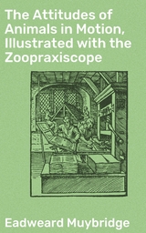 The Attitudes of Animals in Motion, Illustrated with the Zoopraxiscope - Eadweard Muybridge