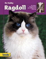 Ihr Hobby Ragdoll - Dominik Kieselbach