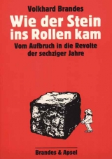 Wie der Stein ins Rollen kam - Volkhard Brandes