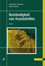 Beständigkeit von Kunststoffen - Gottfried W. Ehrenstein, Sonja Pongratz