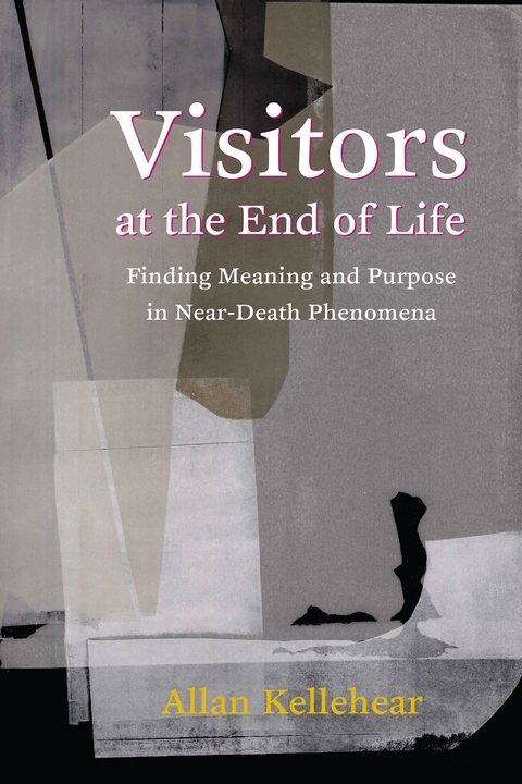 Visitors at the End of Life -  Allan Kellehear