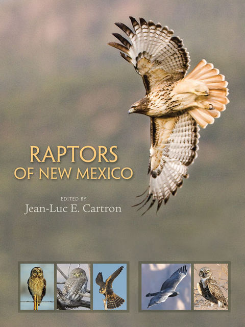 Raptors of New Mexico - 