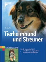 Tierheimhund und Streuner - Claudia Toll