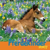 Pferdekinder 2007 - 