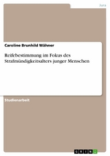 Reifebestimmung im Fokus des Strafmündigkeitsalters junger Menschen - Caroline Brunhild Wähner