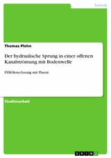 Der hydraulische Sprung in einer offenen Kanalströmung mit Bodenwelle - Thomas Plehn