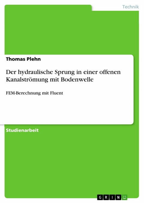 Der hydraulische Sprung in einer offenen Kanalströmung mit Bodenwelle - Thomas Plehn