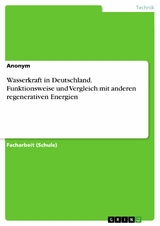 Wasserkraft in Deutschland. Funktionsweise und Vergleich mit anderen regenerativen Energien