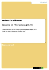 Prozesse im Projektmanagement - Andreas Kerschbaumer