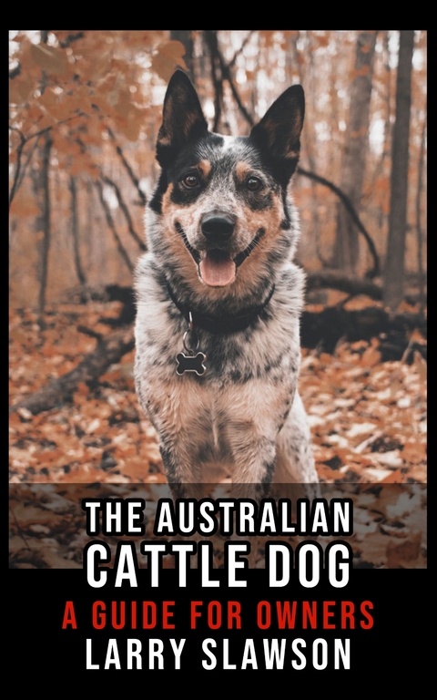 The Australian Cattle Dog - Larry Slawson