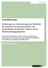 Förderung der Orientierung und Mobilität bei Kindern im Grundschulalter mit Förderbedarf im Bereich "Sehen" durch Wahrnehmungsangebote - Linda Welschinger