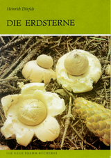 Erdsterne - Dörfelt, Heinrich