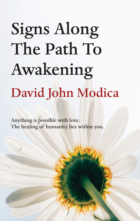 Signs Along The Path To Awakening - David John Modica