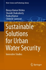 Sustainable Solutions for Urban Water Security - Binaya Kumar Mishra, Shamik Chakraborty, Pankaj Kumar, Chitresh Saraswat