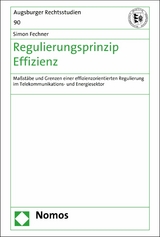 Regulierungsprinzip Effizienz - Simon Fechner