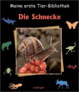 Die Schnecke - Paul Starosta