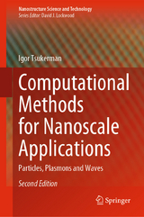 Computational Methods for Nanoscale Applications - Igor Tsukerman