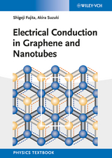 Electrical Conduction in Graphene and Nanotubes - Shigeji Fujita, Akira Suzuki