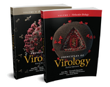 Principles of Virology -  Jane Flint,  Theodora Hatziioannou,  Vincent R. Racaniello,  Glenn F. Rall,  Anna Marie Skalka