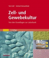 Zell- und Gewebekultur - Toni Lindl, Gerhard Gstraunthaler