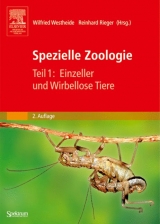 Spezielle Zoologie. Teil 1 /2. Paket. Teil 1: Einzeller und Wirbellose Tiere. Teil 2: Wirbel- oder Schädeltiere / Spezielle Zoologie. Teil 1: Einzeller und Wirbellose Tiere - 