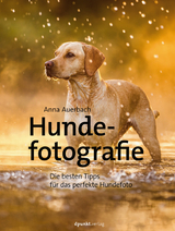 Hundefotografie - Anna Auerbach