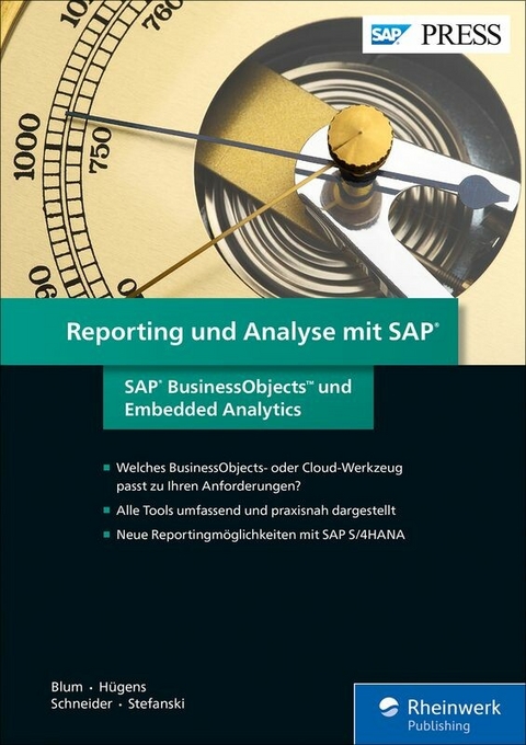 Reporting und Analyse mit SAP -  Steve Blum,  Torben Hügens,  Alexander Schneider,  Marcel Stefanski