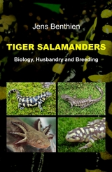 Tiger Salamanders - Jens Benthien