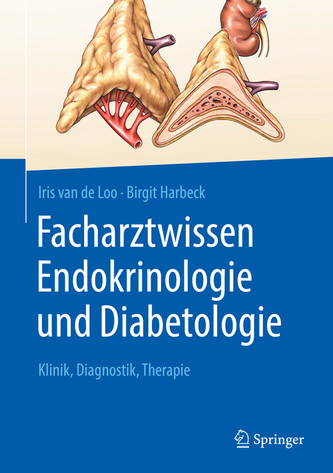 Facharztwissen Endokrinologie und Diabetologie - Iris van de Loo, Birgit Harbeck